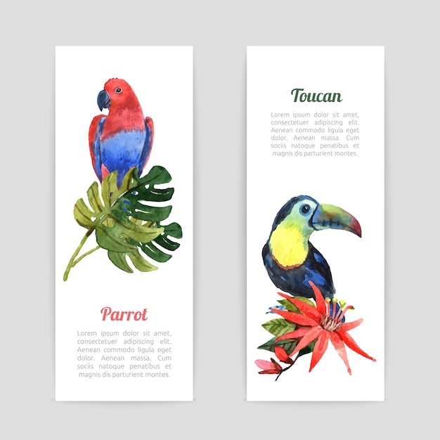 Free Vector tropical birds watercolor banners set