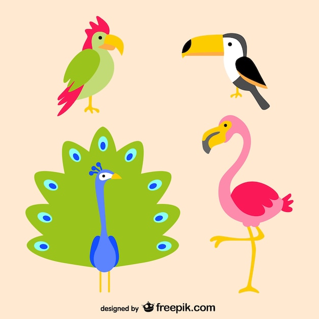 Free vector tropical birds