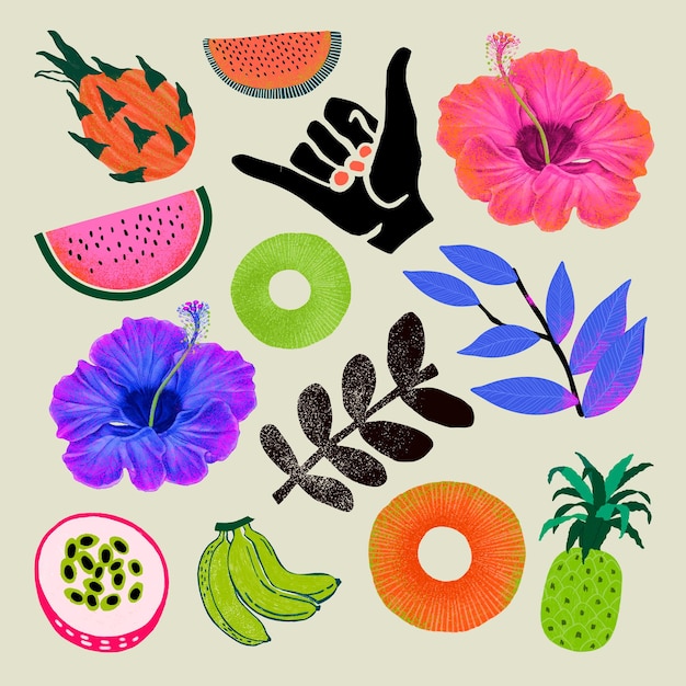 Free Vector tropical design  colorful illustration