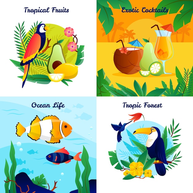 Tropical design concept with fruits exotic cocktails ocean life vector illustration 