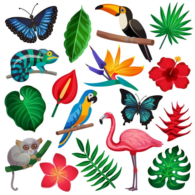 Tropical Exotic Icon Set