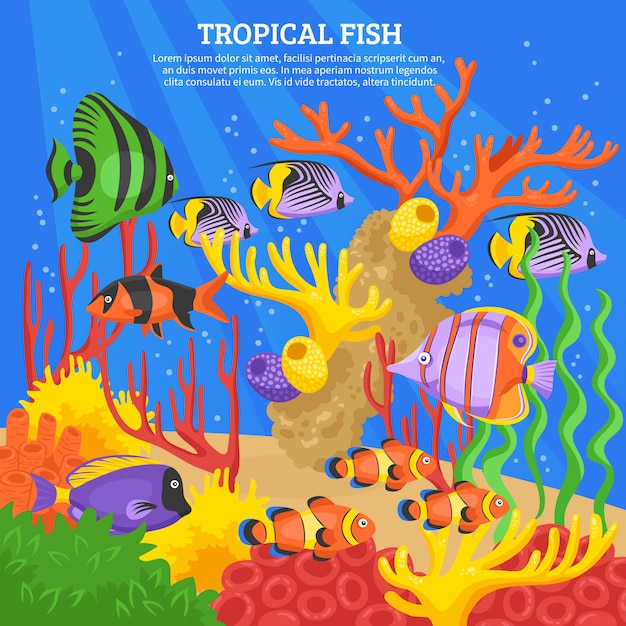 Tropical Fish Sea Background 