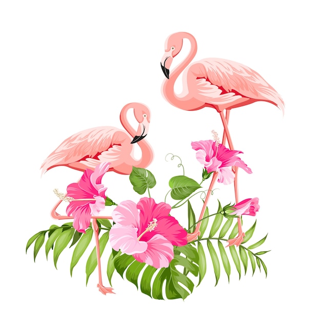 Tropical flower and flamingos on white background. Vector illustration.