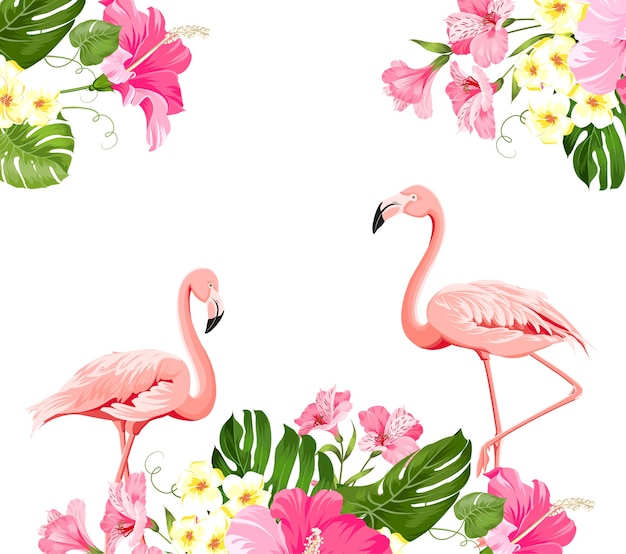 Tropical flower and flamingos on white background. Vector illustration.