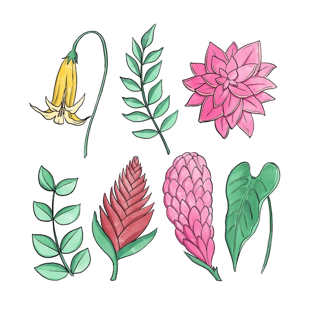 Tropical flower and leaf collection concept