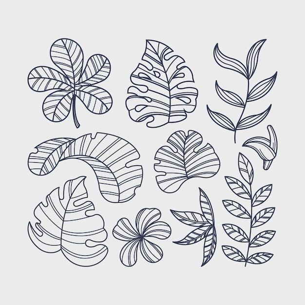 Free vector tropical flower and leaf collection theme