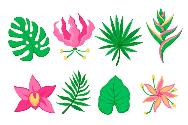 Tropical flower and leaf collection