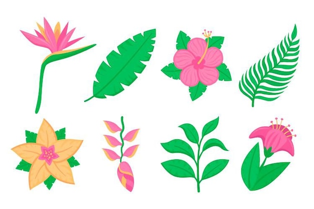 Tropical flower and leaf collection