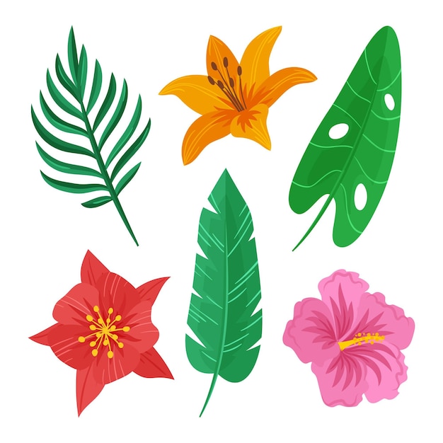 Free Vector tropical flower and leaf collection