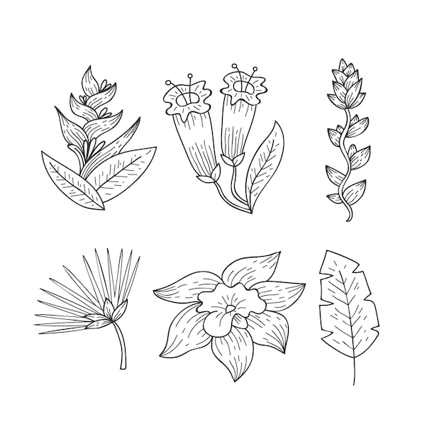 Free vector tropical flower and leaf collection