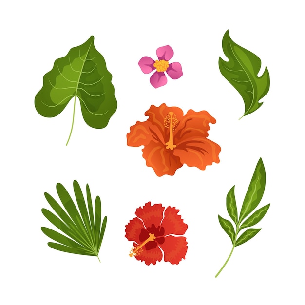 Tropical flower and leaf collection