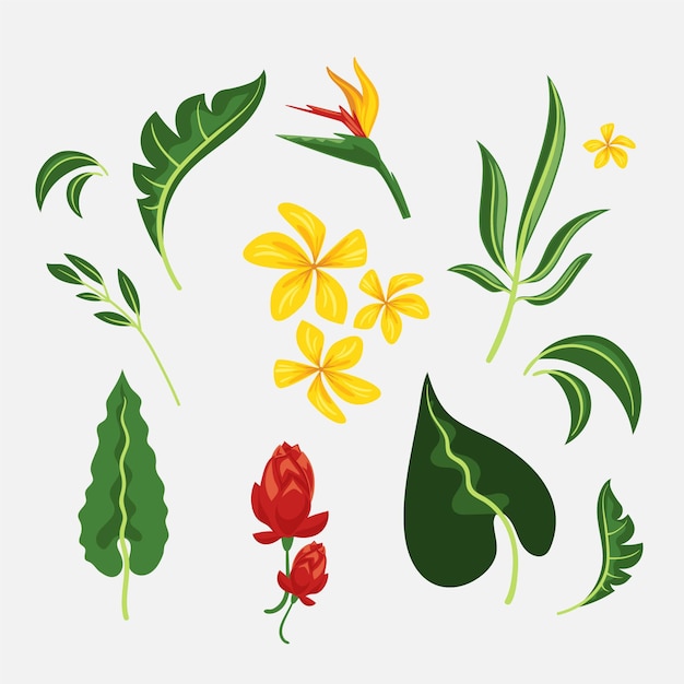 Tropical flower and leaf collection