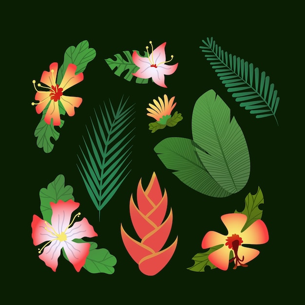 Free Vector tropical flower and leaf collection