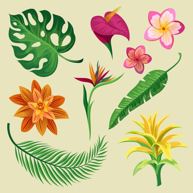 Free Vector tropical flower and leaf collection