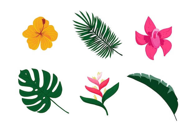 Free Vector tropical flower and leaf collection