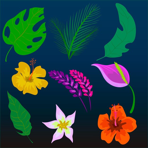 Free Vector tropical flower and leaf collection