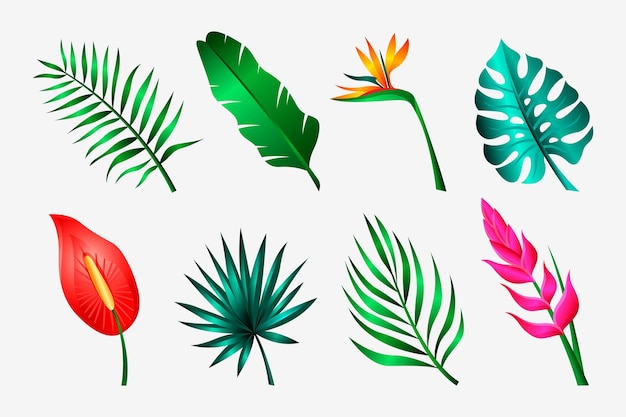 Free Vector tropical flower and leaf collection