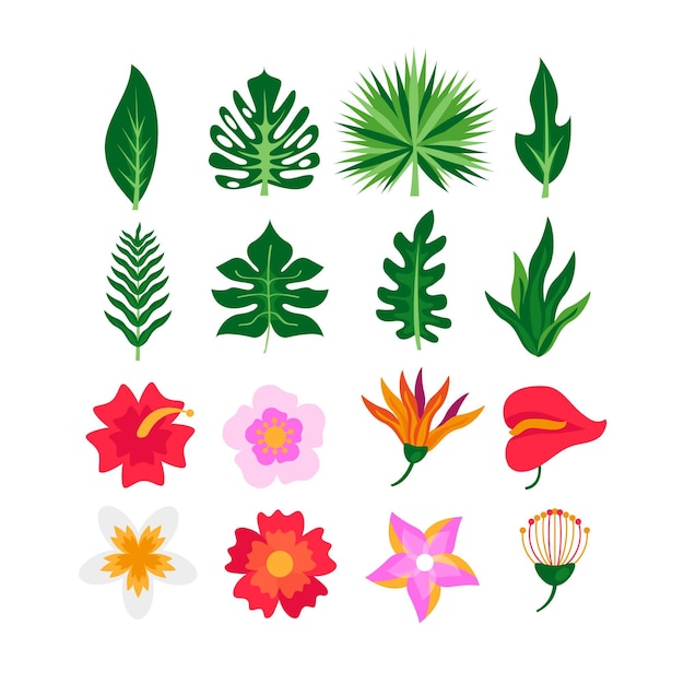 Free Vector tropical flower and leaf collection