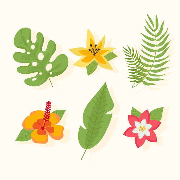 Tropical flower and leaf collection