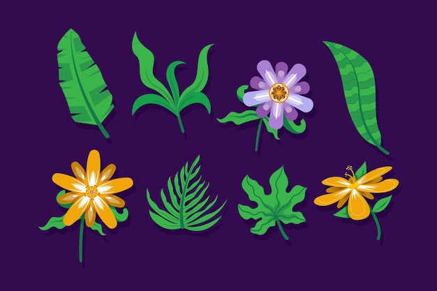 Free Vector tropical flower and leaf collection