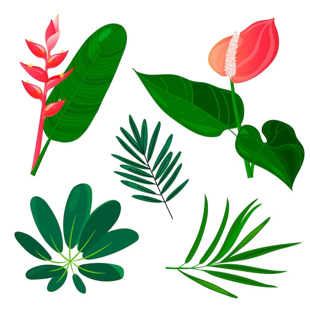 Free vector tropical flower and leaf collection