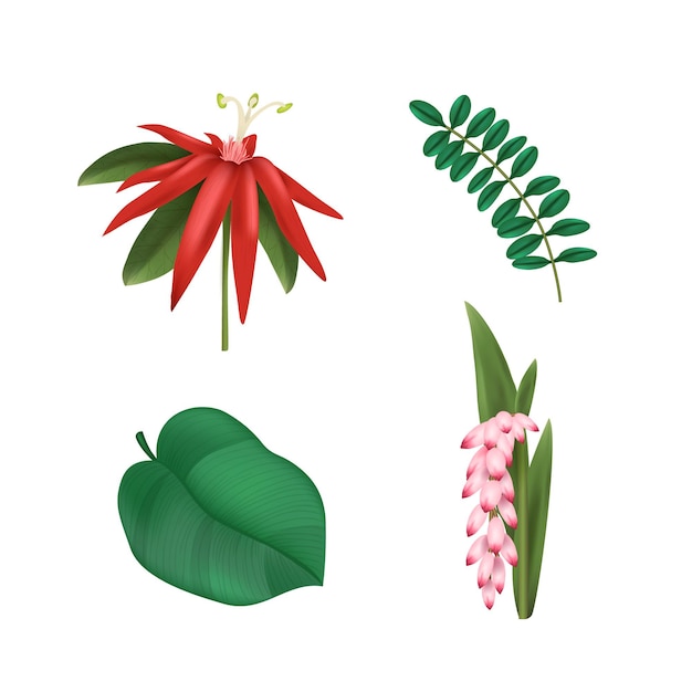 Free Vector tropical flower and leaf collection