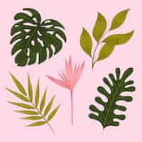 Free vector tropical flower and leaf collection