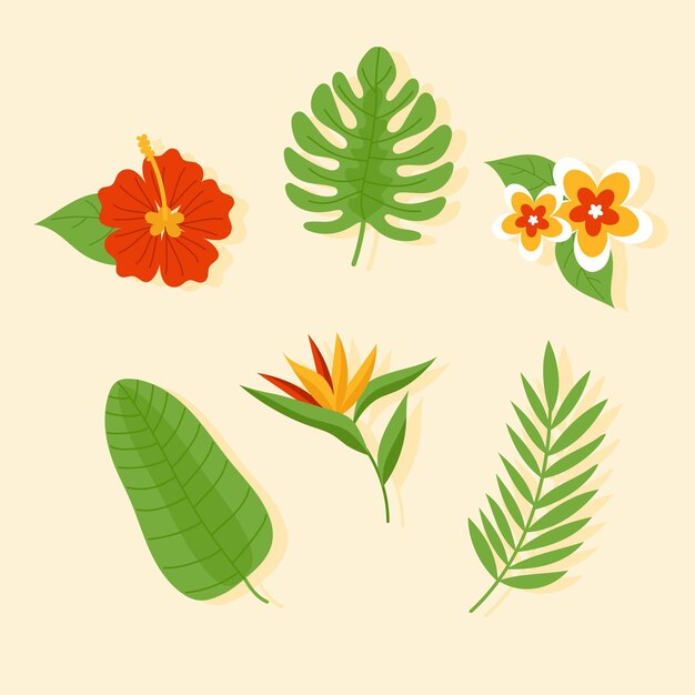 Tropical flower and leaf collection