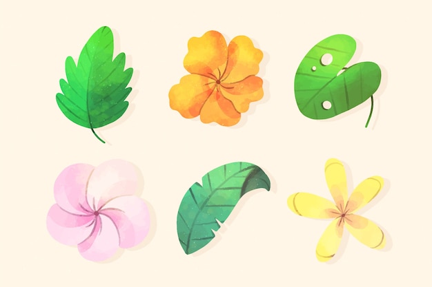 Tropical flower and leaf collection