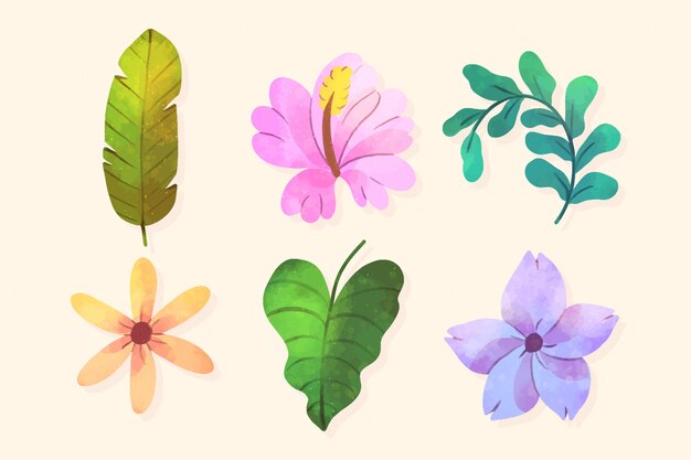 Tropical flower and leaf collection