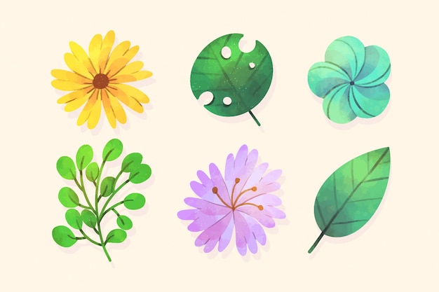 Tropical flower and leaf collection