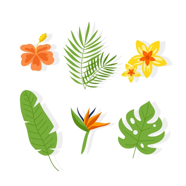 Tropical flower and leaf collection