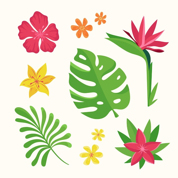 Free Vector tropical flower and leaf collection