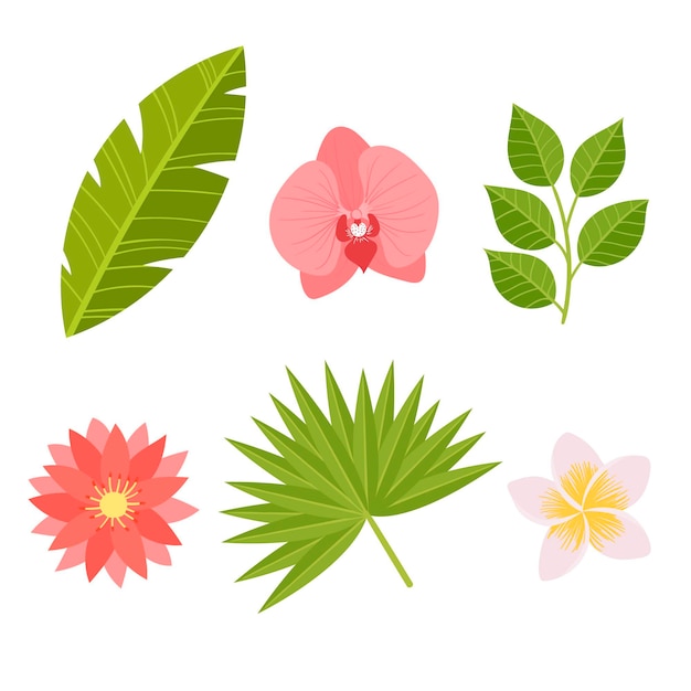 Tropical flower and leaf collection