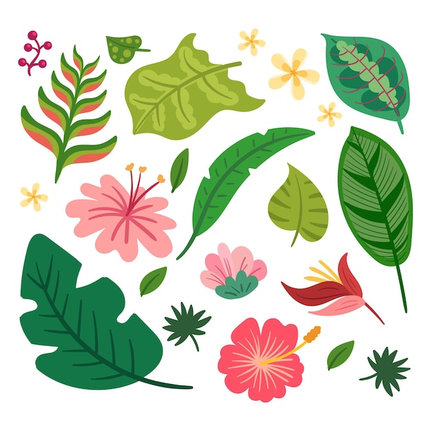 Tropical flower and leaf collection