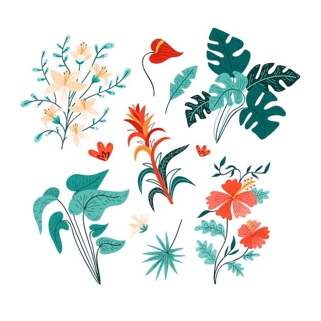 Free Vector tropical flower and leaf collection