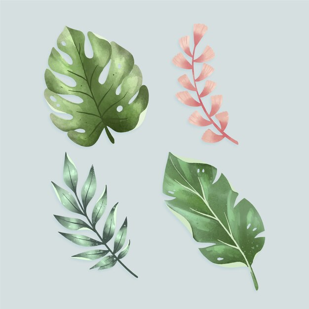 Tropical flower and leaf collection