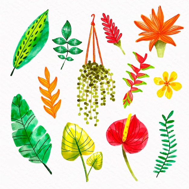 Free Vector tropical flower and leaf collection