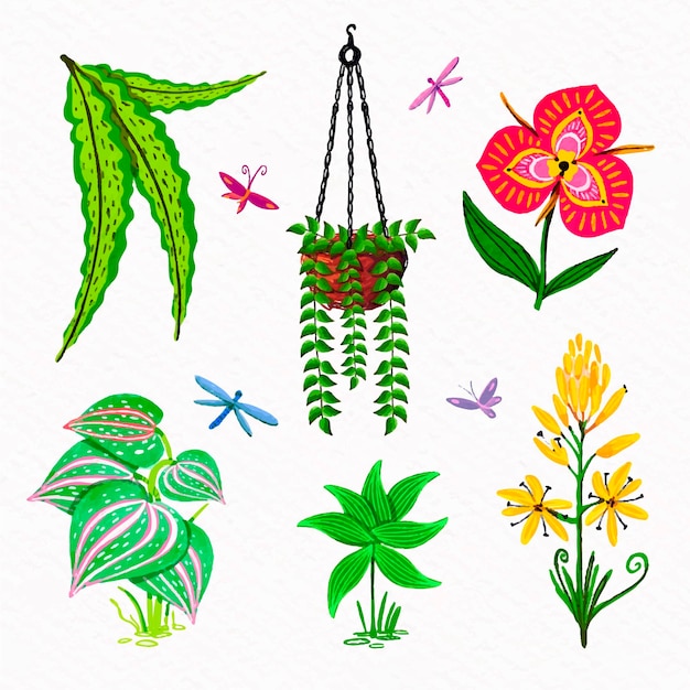 Free Vector tropical flower and leaf collection