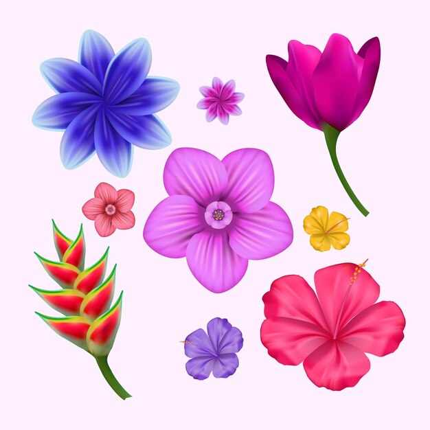 Tropical flower and leaf collection