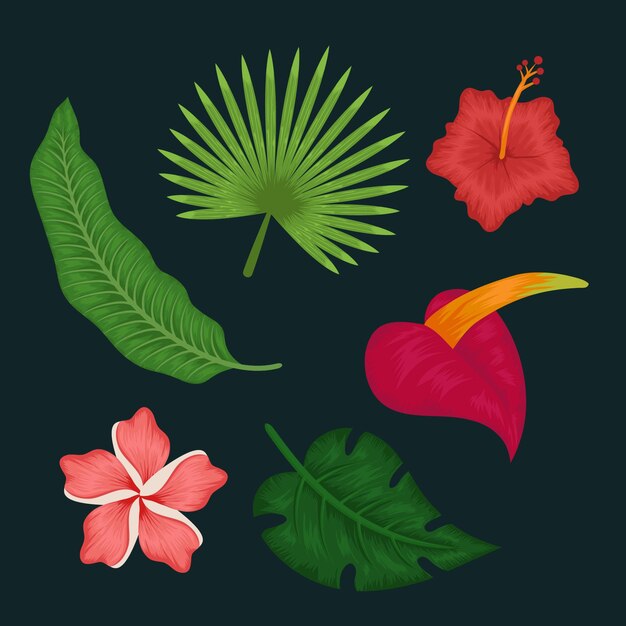 Tropical flower and leaf pack