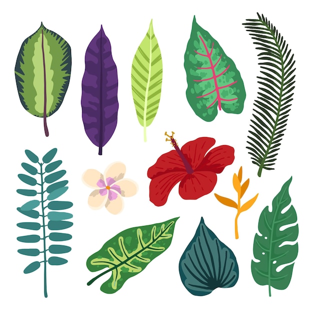 Free Vector tropical flower and leaf pack