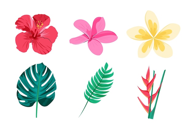 Tropical flower and leaf pack