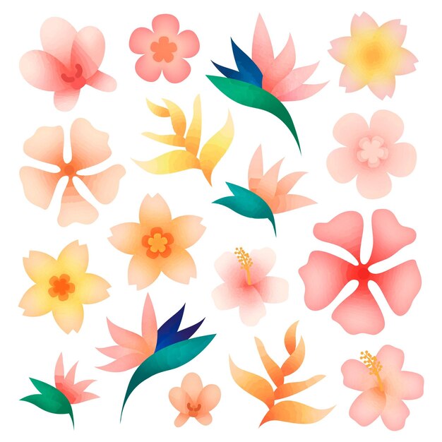 Tropical flower and leaf set