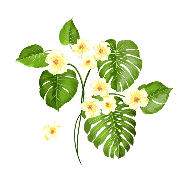 Tropical flower and palm on white background. Vector illustration.