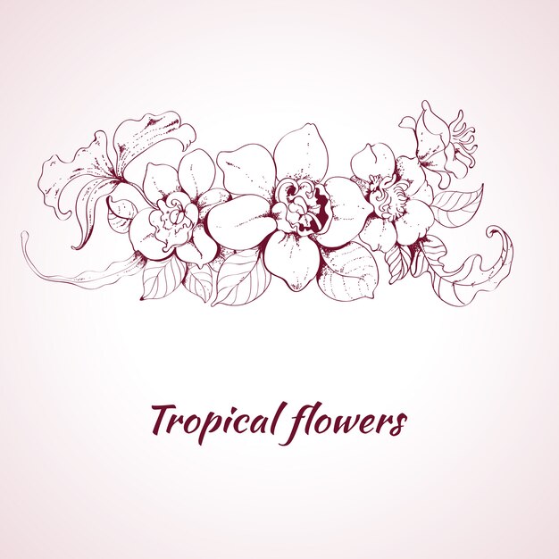 Tropical flower sketch