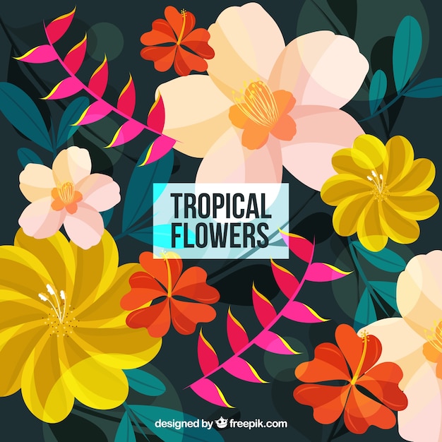 Tropical flowers background with many colors