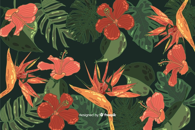 Tropical flowers background