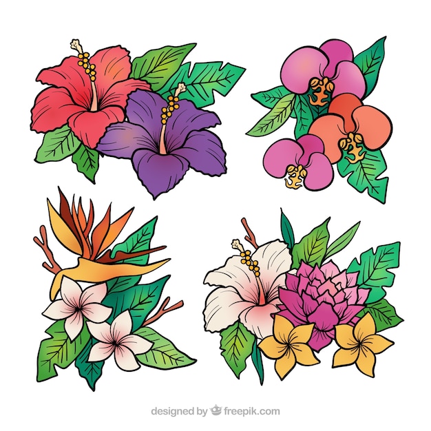 Tropical flowers collection in hand drawn style