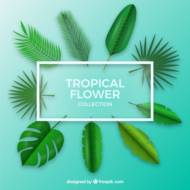 Tropical flowers collection in realistic style